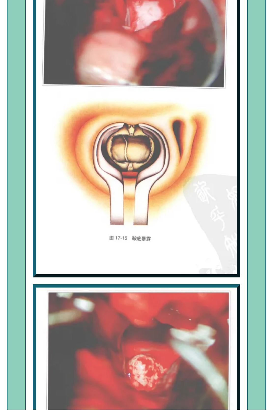 show_356002738_1647491288054_06.png